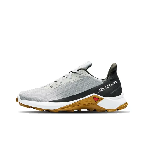 SALOMON Низкий топ Беговые кроссовки Мужской Серый