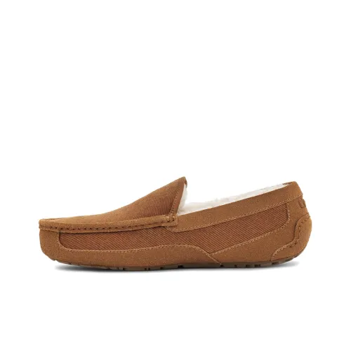 UGG Ascot Повседневный Низкий Топ Мужской