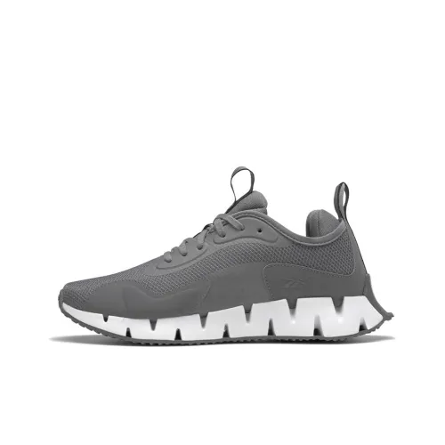 Reebok Zig Dynamica 1 Беговые кроссовки Низкий Топ Мужской