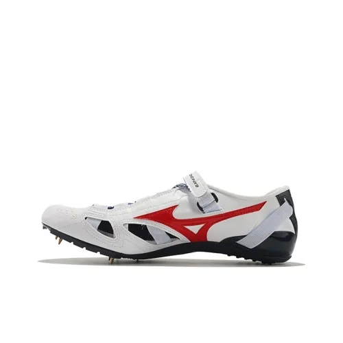Кроссовки Mizuno для бега, низкий топ, мужские