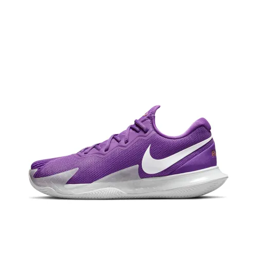 Nike Court Zoom Vapor Low Топ Кроссовки для тенниса Мужские Фиолетовые