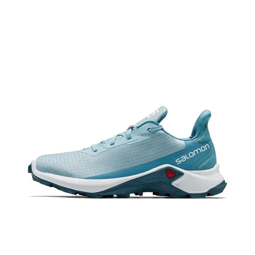 Кроссовки для бега Salomon Collaboration Alphacross 3, низкий топ, женские