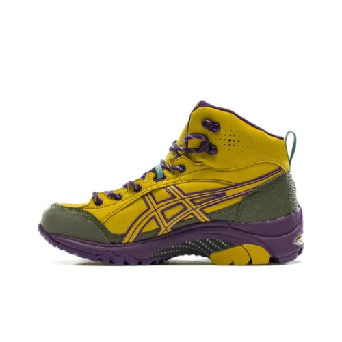 ASICS Гель Arata MT г TX Альпинистские и туристические ботинки High Top Мужской