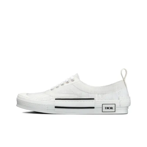 DIOR B23 Canvas Shoes Low Top Мужские