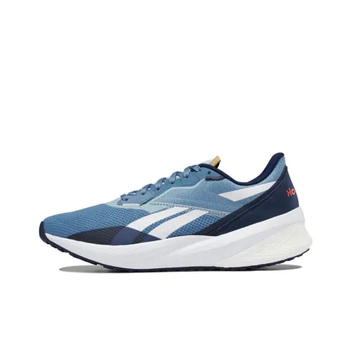 Reebok Floatride Energy Daily Low Топ Беговые кроссовки Мужской Haze Синий Белый