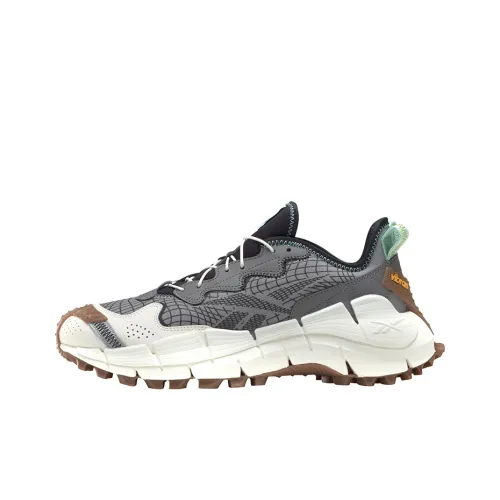 Reebok Zig Kinetica II Low Топ Повседневная обувь Унисекс Серый Белый