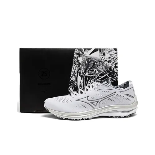 Кроссовки для бега Mizuno Wave Rider 25, низкий топ, унисекс