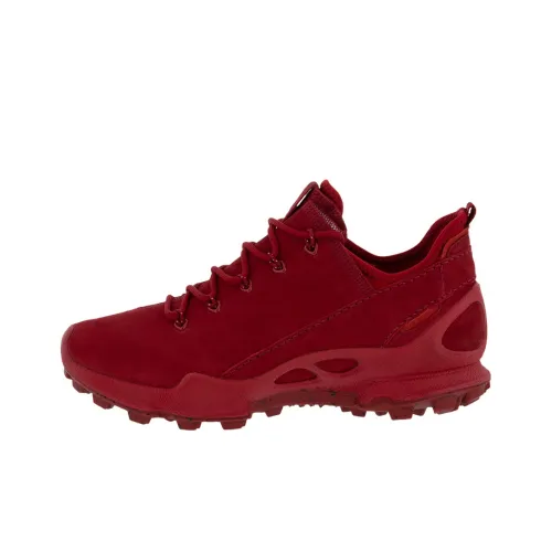 Ecco Беговые кроссовки Low Top Женские