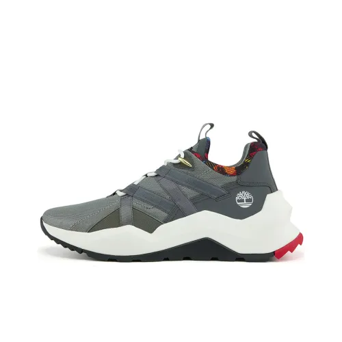 Timberland MADBURY Collection Беговые кроссовки Низкий Топ Мужской