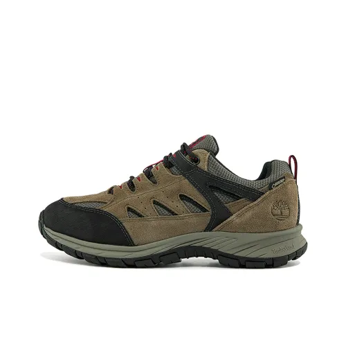 Timberland Sadler Pass Беговые кроссовки Низкий Топ Мужской