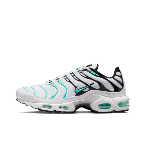 Nike Air Max Plus Low Топ Беговые кроссовки Мужские Белый Синий Черный