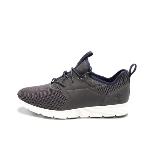 Timberland Killington Беговые кроссовки Низкий Топ Мужской