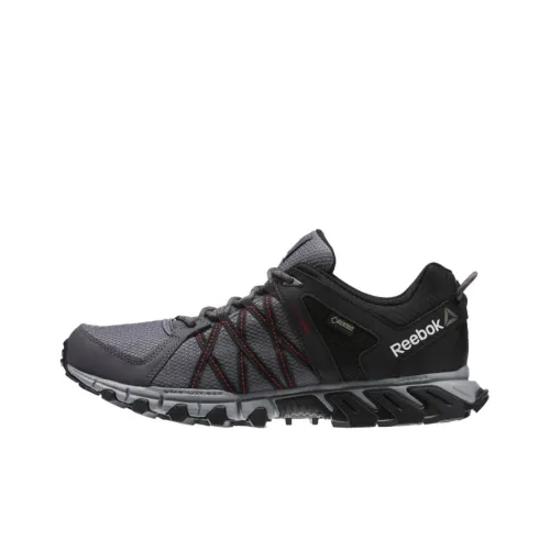 Reebok Trailgrip RS 5,0 GTX Low Топ Беговые кроссовки Мужские Черные Серые