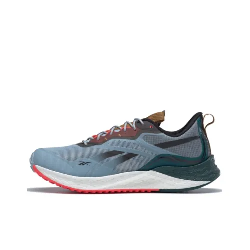 Reebok Floatride Energy 3,0 Low Топ Беговые кроссовки Мужской Серый Синий