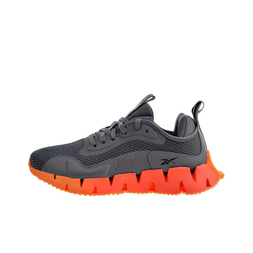 Reebok Zig Dynamica 1 Беговые кроссовки Низкий Топ Мужской