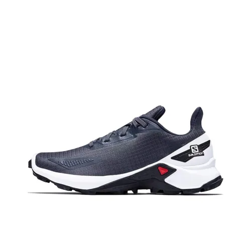 SALOMON Alphacross 4 Противоскользящий Устойчивый к износу Дышащий Низкий Топ Альпинистская Обувь Женская