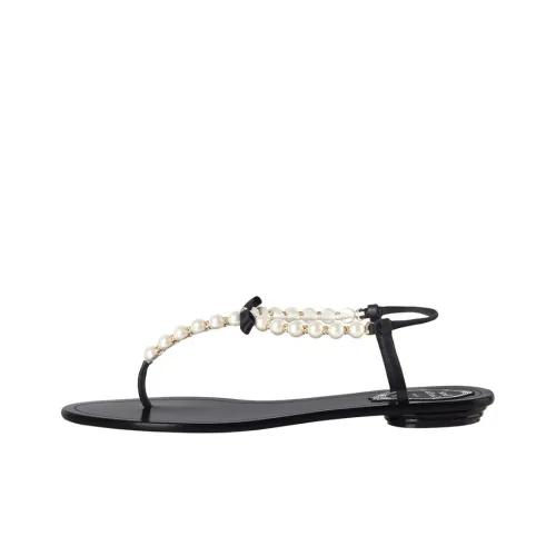 RENE CAOVILLA Eliza one Ремень Сандалии Женские Черный