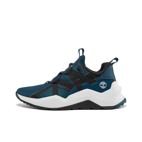 Timberland MADBURY Collection Низкий Топ Уличная Обувь Черный Синий