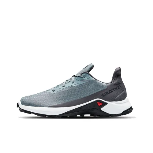 SALOMON Alphacross 3 Low Топ Беговые кроссовки Мужской Серый Синий