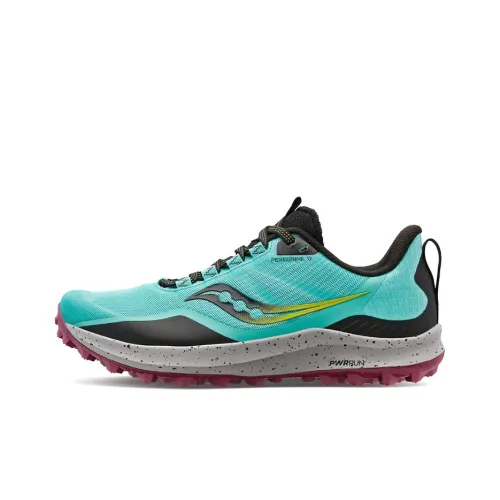 Saucony Peregrine Falcon 12 Low Топ Беговые кроссовки Женские Синий Серый Черный
