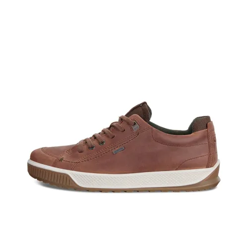 Кроссовки для скейтбординга Ecco Low Top Мужские