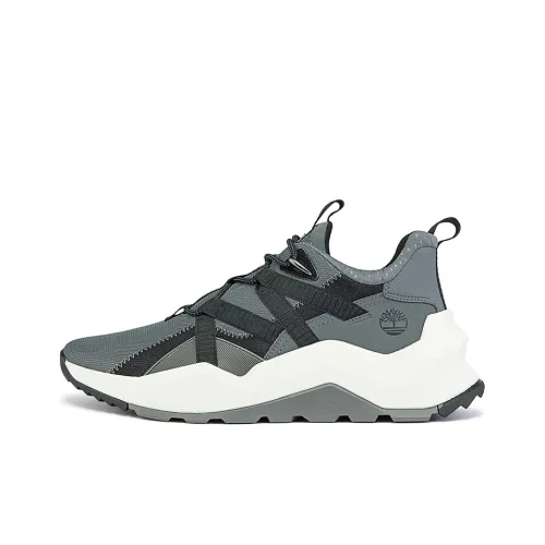 Timberland Повседневный Низкий Топ Мужской