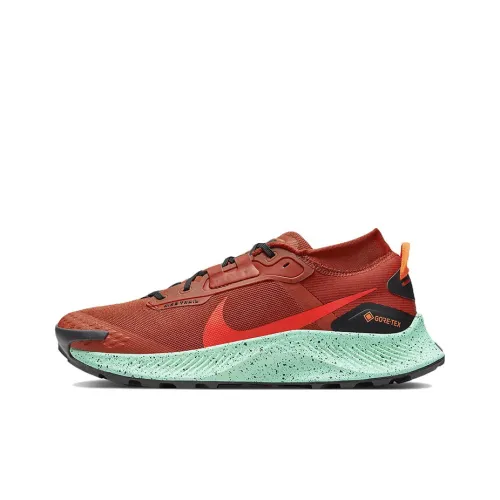 Nike Pegasus Trail 3 Беговые кроссовки Низкий Топ Мужской