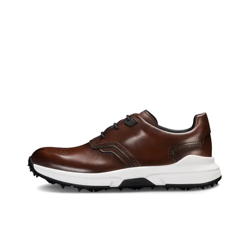 BERLUTI Повседневный Низкий Топ Мужской