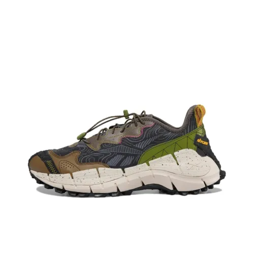 Reebok Zig Kinetica Уличная обувь Низкий топ Унисекс