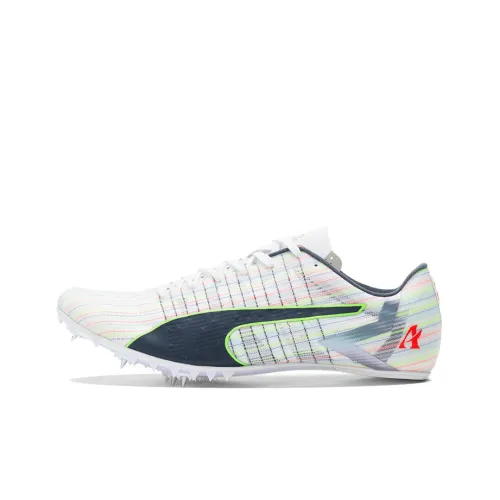 PUMA Evospeed Tokyo Brush 2 Беговые кроссовки Низкий Топ Мужской