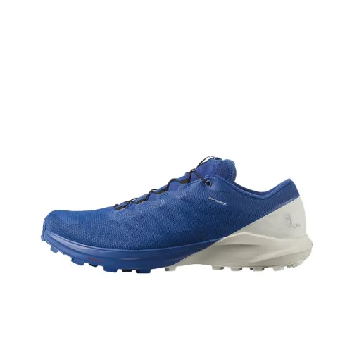 Salomon Sense Ride 4 Устойчивые к истиранию Низкие Кроссовки для Бега Мужские