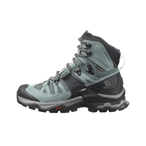 Ботинки для альпинизма и туризма Salomon Collaboration Quest 4 High Top Женские