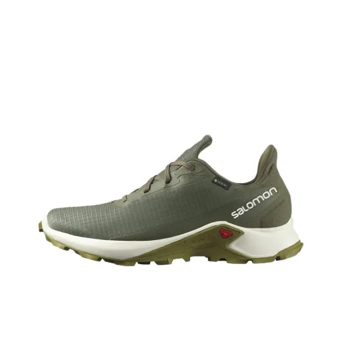 Кроссовки для бега Salomon Collaboration Alphacross 3, низкий топ, мужские