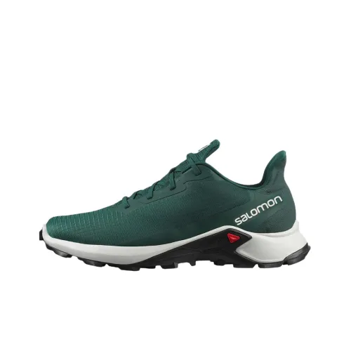 Кроссовки для бега Salomon Collaboration Alphacross 3, низкий топ, мужские