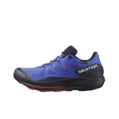 Кроссовки для бега Salomon Collaboration Pulsar Trail Low Top Мужские