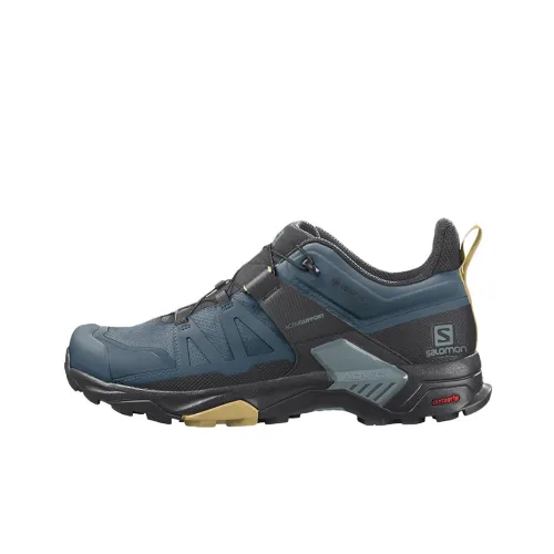 Salomon X Ultra 4 Альпинистские и туристические ботинки Низкий верх Мужской