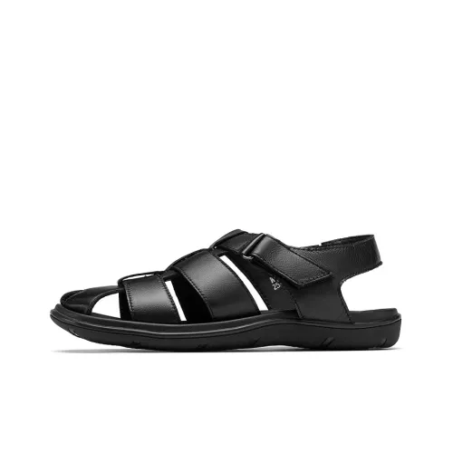 Roberta Di Camerino Горная обувь Мужская Черная