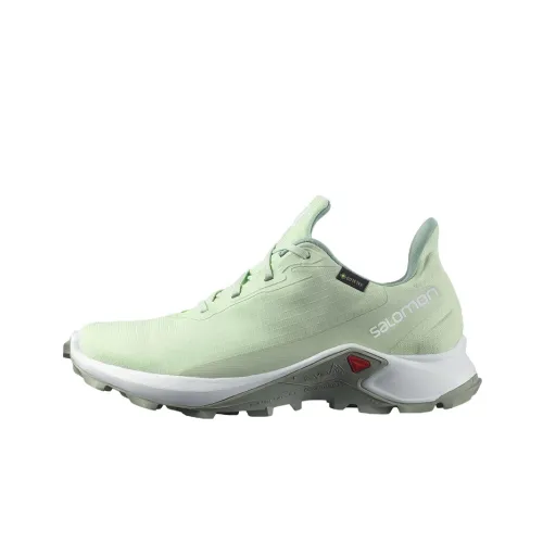 Salomon Collaboration Cross Уличная обувь Низкий топ Женский