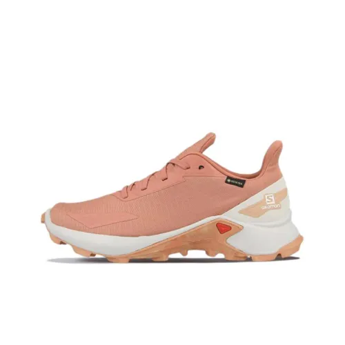 SALOMON Износостойкие Низкие Топы Уличная Обувь Женская