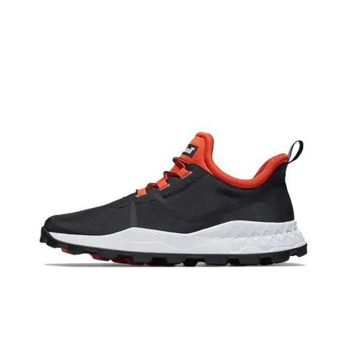 Timberland Brooklyn Collection Повседневный Низкий Топ Мужской