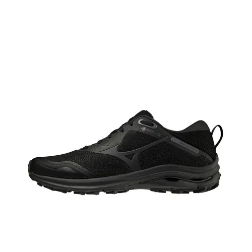 Кроссовки для бега Mizuno Wave Rider, низкий топ, мужские
