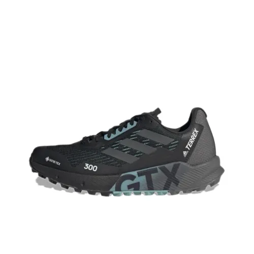 adidas Terrex Agravic Flow 2,0 Gore tex Трейл Бег Устойчивый к истиранию Низкий Топ Беговые кроссовки Женские Черный