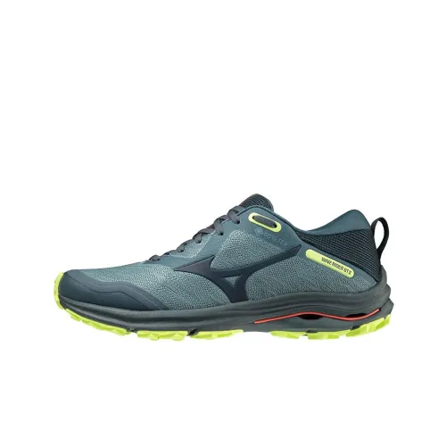 Кроссовки для бега Mizuno Wave Rider GTX, низкий топ, мужские