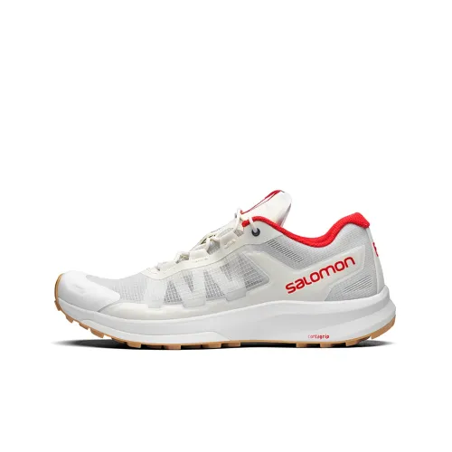 Ботинки для альпинизма и туризма Salomon Collaboration Ultra Raid, низкий верх, унисекс