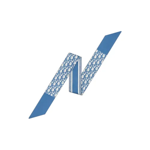 DIOR Шарфы из тутового шелка, синий, унисекс