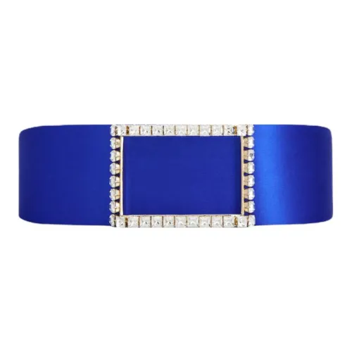 Roger Vivier Сатин Кожаные ремни Синий Унисекс
