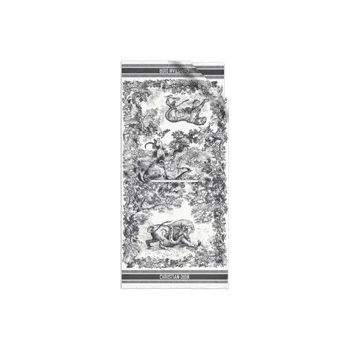 DIOR Шали из шелка для женщин