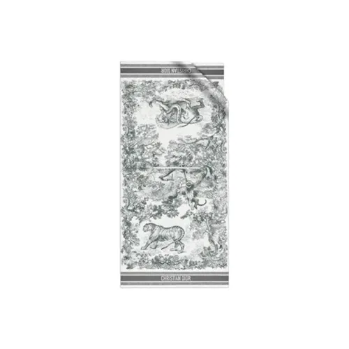 DIOR Шали Женские