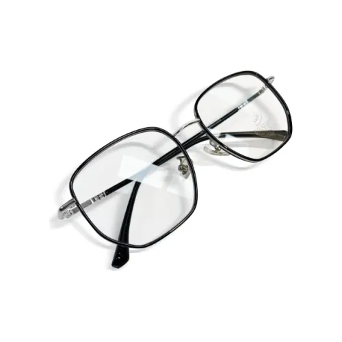 Welly Merck Титановый сплав Нерегулярная форма Очки Унисекс