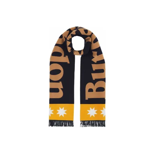 Burberry Шарфы из шерсти и трикотажа, разноцветные, унисекс